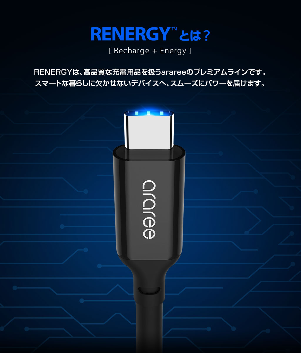 USB Type-C to C ケーブル RENERGY PD対応 100W 急速充電 1m USB3.1