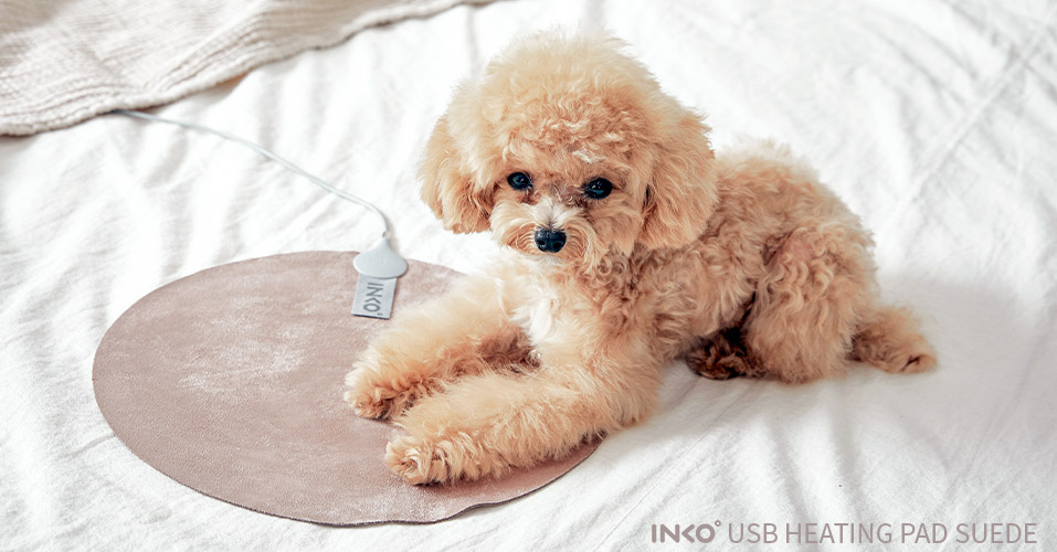 ペットにもぬくもりを